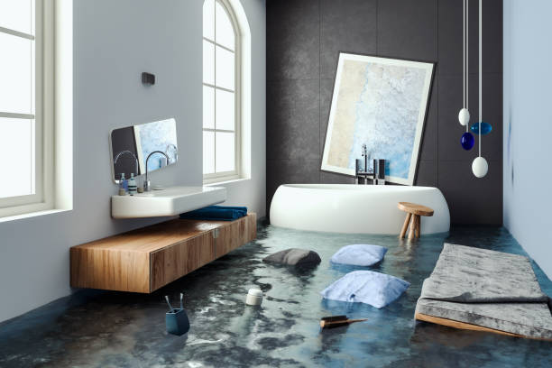 Best Mold removal after water damage  in Norwich, NY