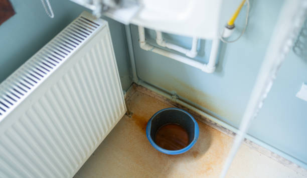 Best Carpet water damage restoration  in Norwich, NY