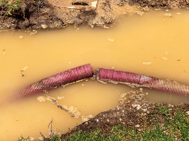 Best Flood damage cleanup  in Norwich, NY