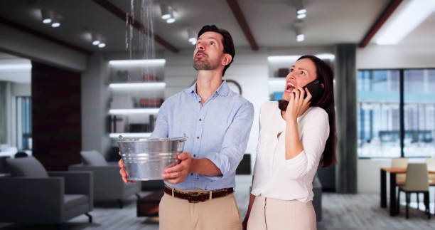 Best Flooded house restoration  in Norwich, NY