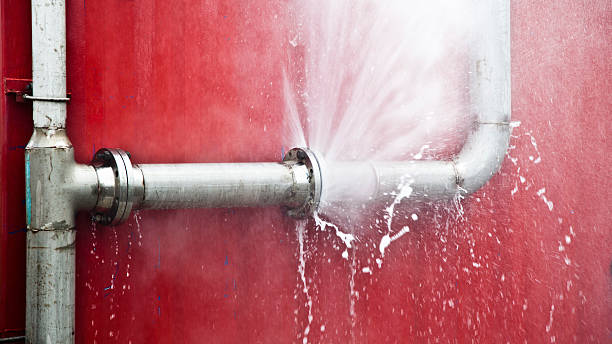 Best Water damage restoration cost  in Norwich, NY